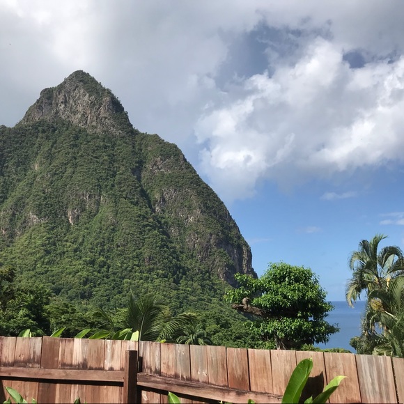 Meet your Posher, Kerilea - Picture 1 of 1